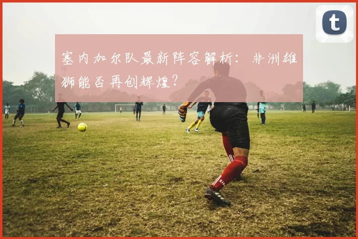 塞内加尔队最新阵容解析：非洲雄狮能否再创辉煌？